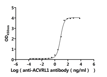 ACVRL1 Antibody
