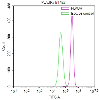 PLAUR Antibody