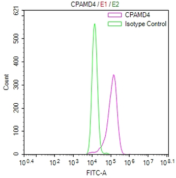 C5 Antibody