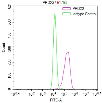 PRDX2 Antibody