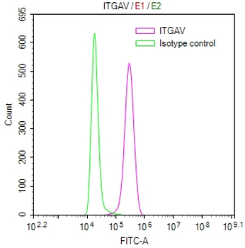 ITGAV Antibody