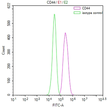 CD44 Antibody