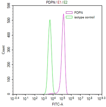 PDPN Antibody