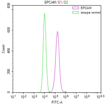 EPCAM Antibody