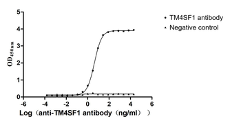 TM4SF1 Antibody