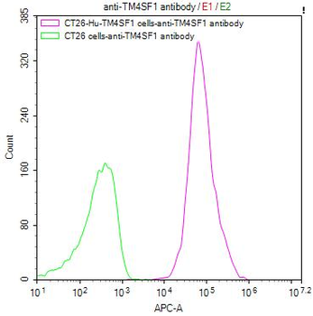 TM4SF1 Antibody