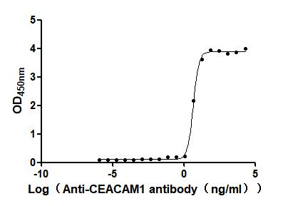 Recombinant Human Carcinoembryonic antigen-related cell adhesion molecule 1(CEACAM1), partial, Biotinylated (Active)