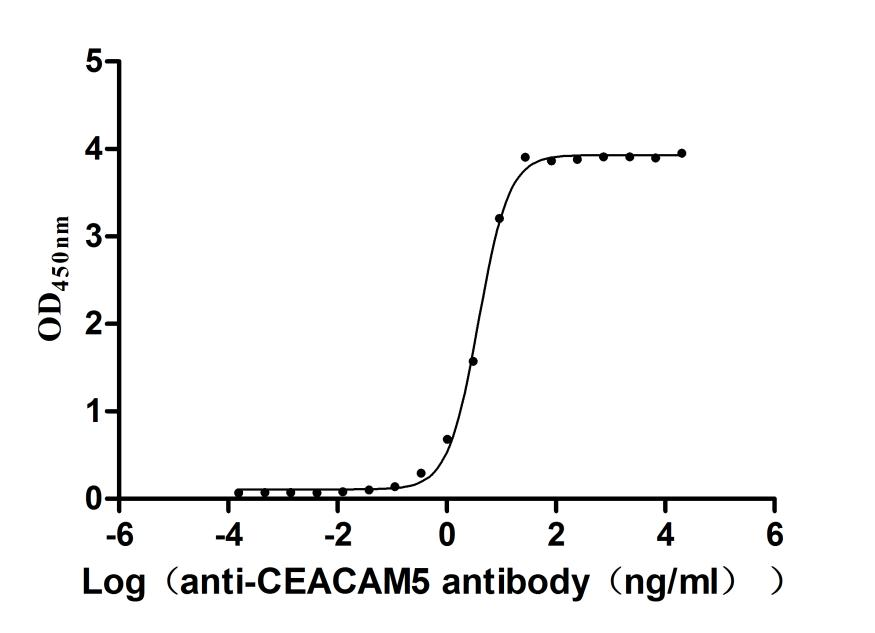 Recombinant Macaca mulatta Carcinoembryonic antigen-related cell adhesion molecule 5(CEACAM5), partial (Active)