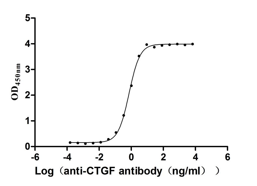 Recombinant Macaca mulatta CCN family member 2 (CCN2) (Active)