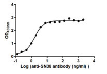 SN38 Antibody