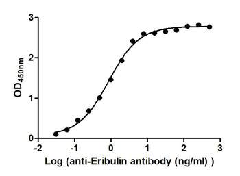Eribulin Antibody