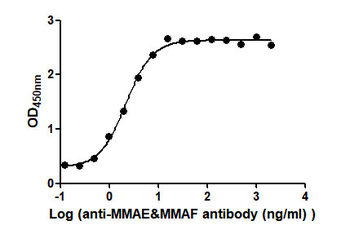 MMAE&MMAF Monoclonal Antibody