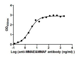 MMAE&MMAF Monoclonal Antibody