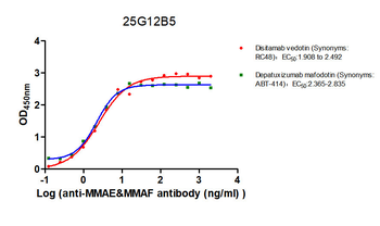 MMAE&MMAF Monoclonal Antibody