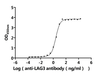 LAG3 Antibody