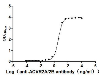 ACVR2A&ACVR2B Antibody