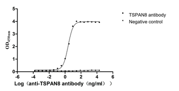 TSPAN8 Antibody
