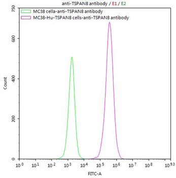 TSPAN8 Antibody