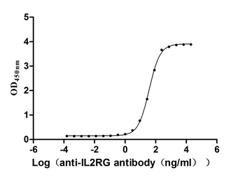 IL2RG Antibody