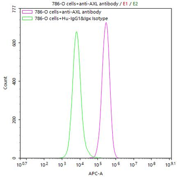 AXL Antibody