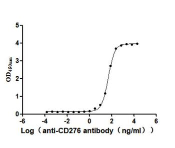 CD276 Antibody