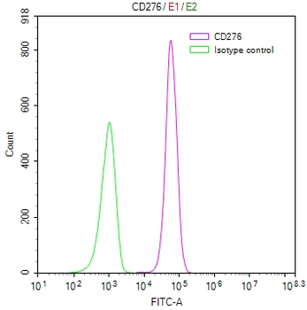 CD276 Antibody