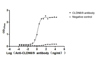 CLDN6/9 Antibody