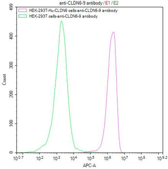 CLDN6/9 Antibody