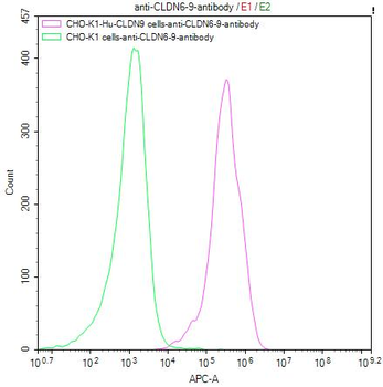 CLDN6/9 Antibody