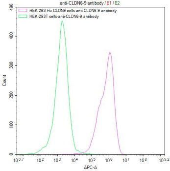 CLDN6/9 Antibody