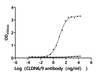 CLDN6/9 Antibody