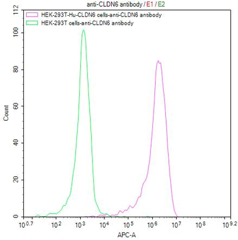 CLDN6 Antibody