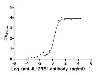 IL12RB1 Antibody