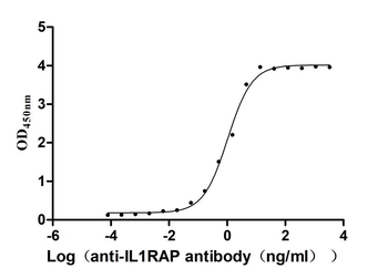 IL1RAP Antibody