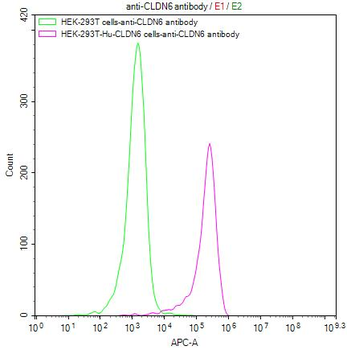 CLDN6 Antibody
