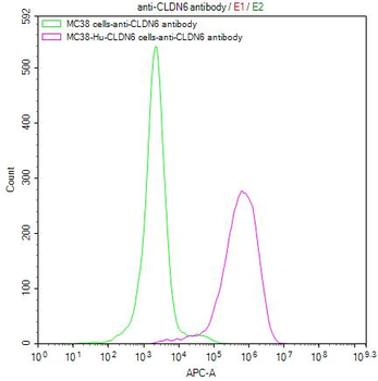CLDN6 Antibody