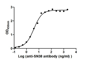SN38 Antibody