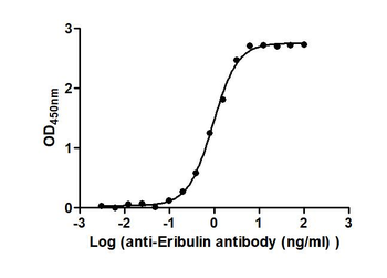 Eribulin Antibody