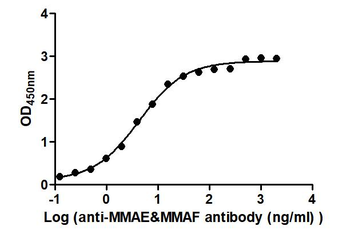 MMAE&MMAF Recombinant Monoclonal Antibody