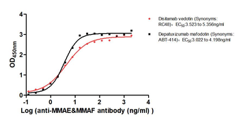 MMAE&MMAF Recombinant Monoclonal Antibody