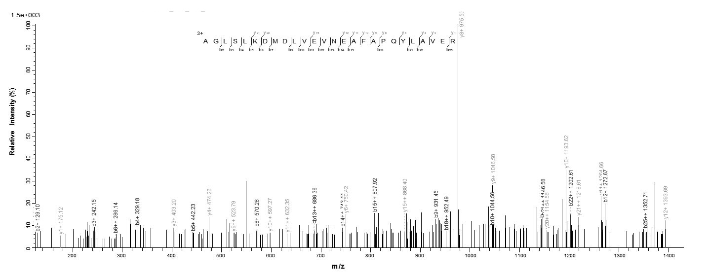 Human ACAA2 protein