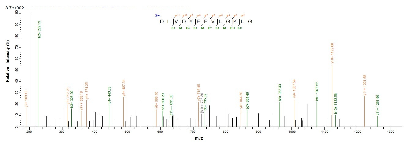 Human ASPH protein