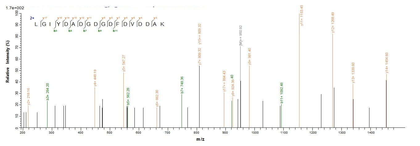 Human ASPH protein