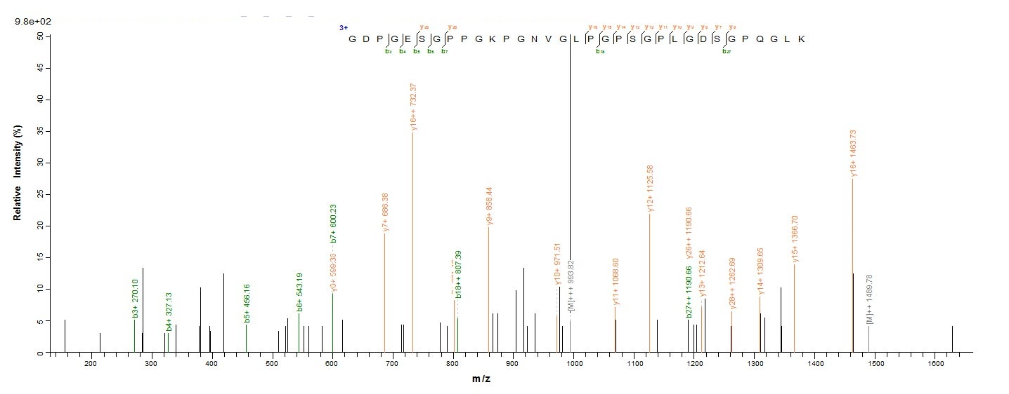 Mouse C1qa protein