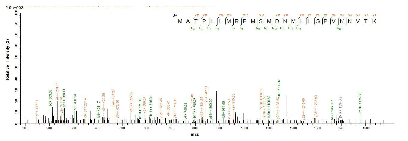 Mouse Cd74 protein
