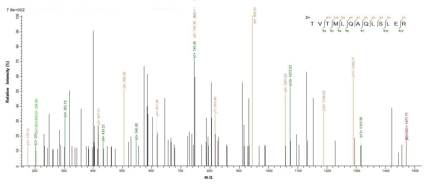 Human CDR2 protein
