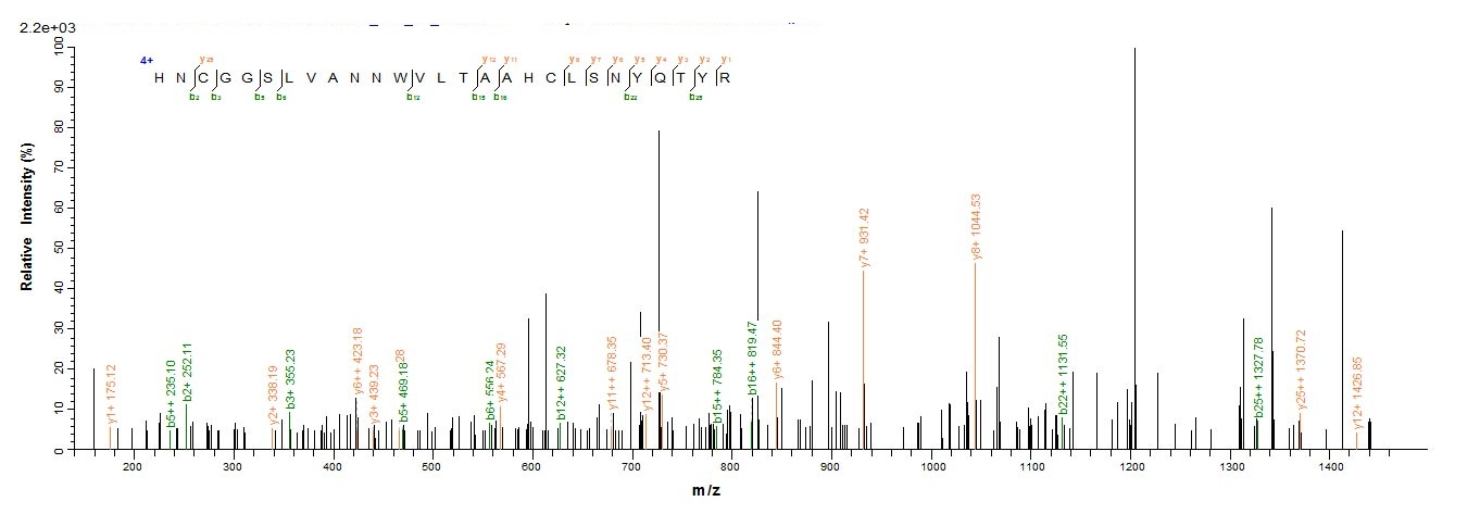 Mouse Cela2a protein