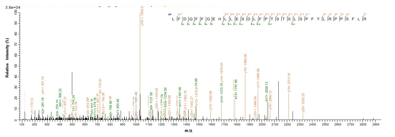 Human CRYAB protein