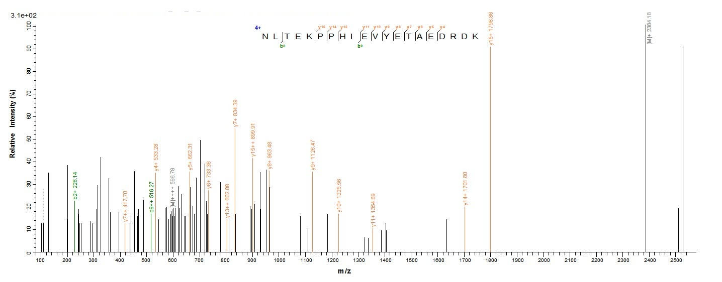 Human GLCE protein