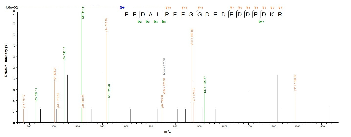 Human HDAC1 protein